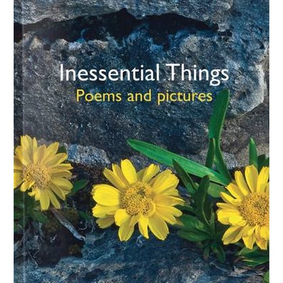 Inessential Things image 0