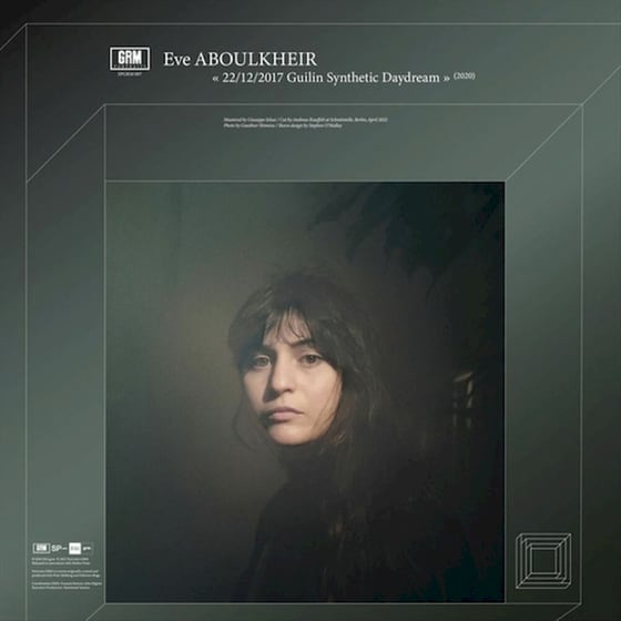 22​/​12​/​2017 Guilin Synthetic Daydream / How to Avoid Ants (LP) image 0