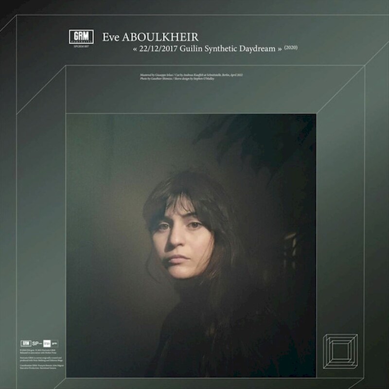 22​/​12​/​2017 Guilin Synthetic Daydream / How to Avoid Ants (LP)