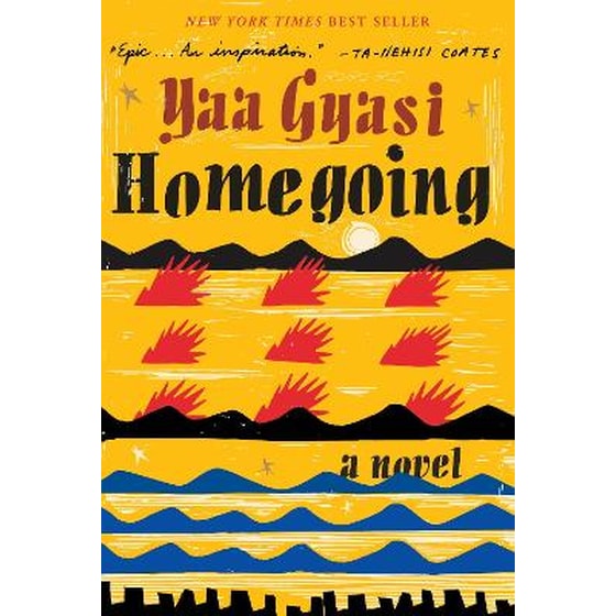 Homegoing image 0