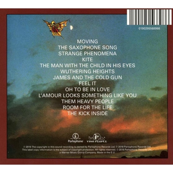 The Kick Inside (2018 Remaster) image 3