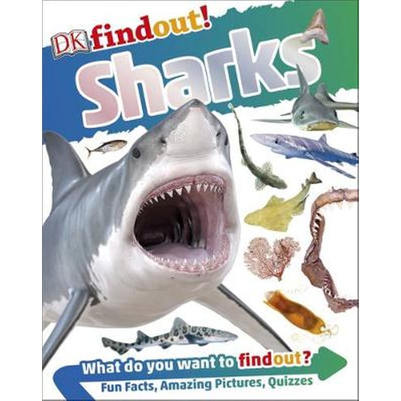 DKfindout! Sharks