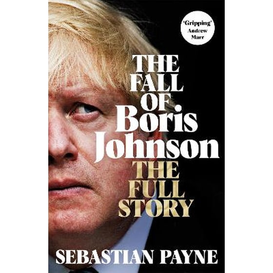 Fall of Boris Johnson image 0