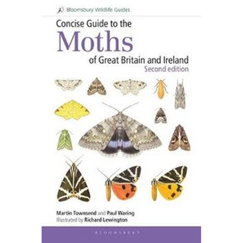 Concise Guide to the Moths of Great Britain and Ireland: Second edition