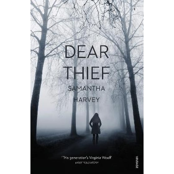 Dear Thief image 0