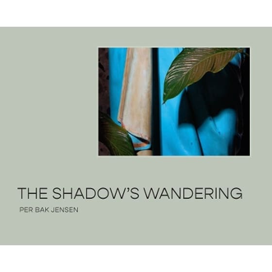 The Shadow’s Wandering image 0
