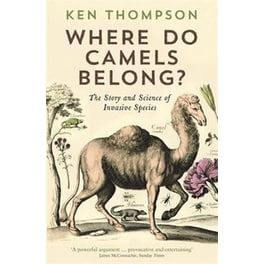 Where Do Camels Belong?