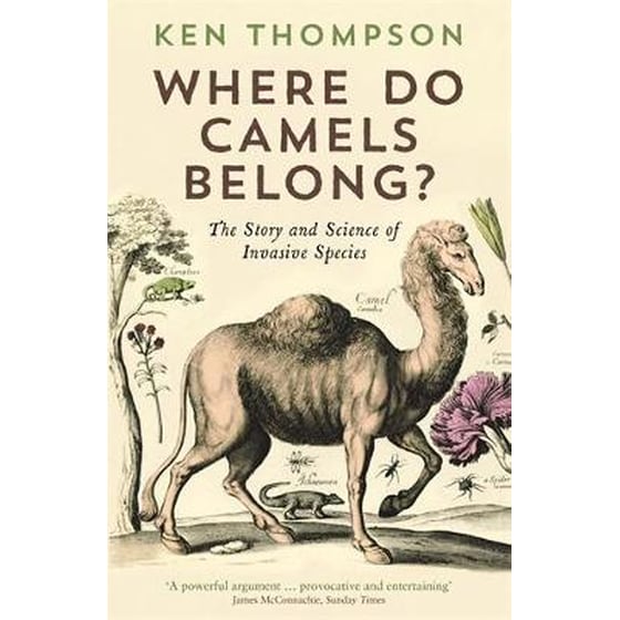 Where Do Camels Belong? image 0