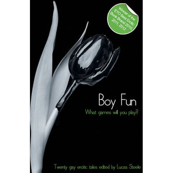 Boy Fun image 0