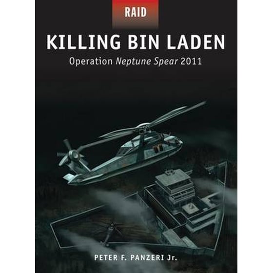 Killing Bin Laden image 0