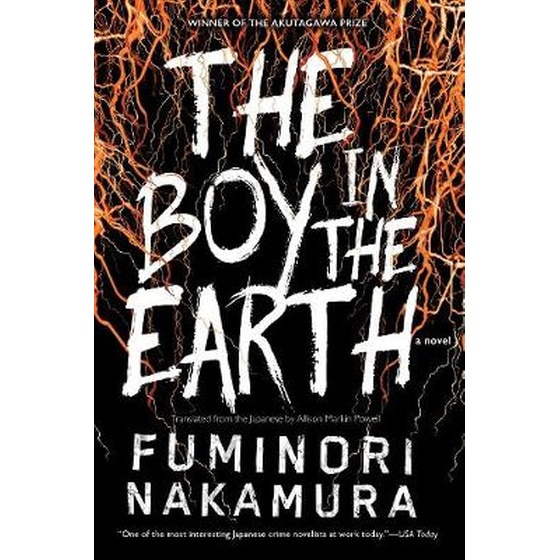 The Boy In The Earth image 0