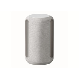 SONY SRS-RA3000 BT Light Grey