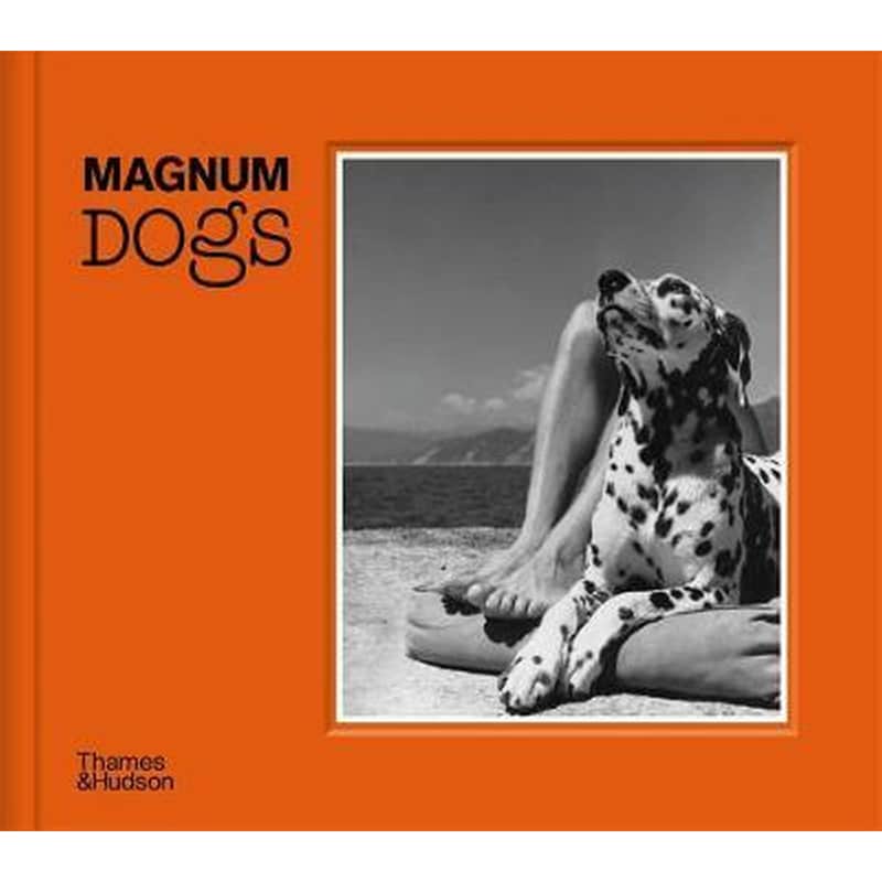 Magnum Dogs