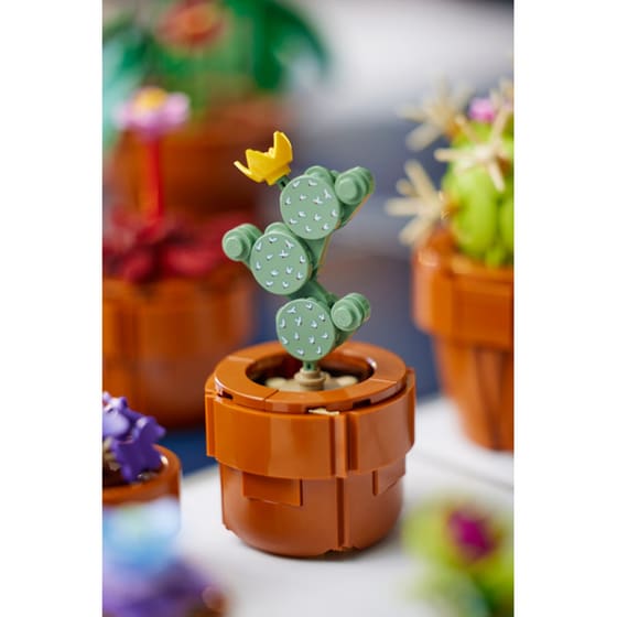 LEGO® Icons Tiny Plants (10329) image 6