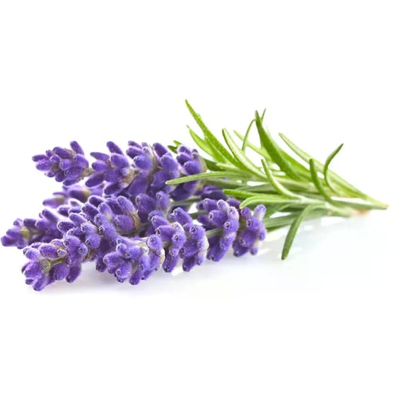 Κάψουλες Click and Grow 3 Τμχ - Λεβάντα image 1
