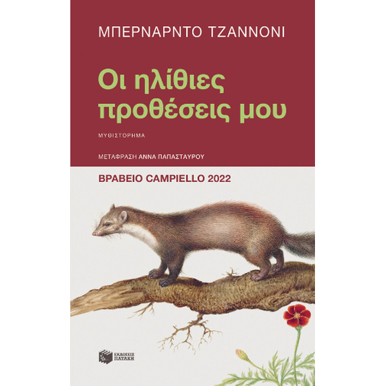 Οι ηλίθιες προθέσεις μου image 0