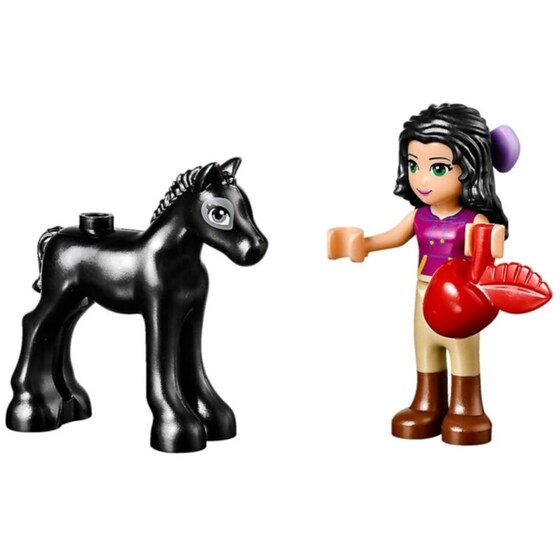LEGO® Friends Χώρος Πλυσίματος Του Πουλαριού (41123) image 3