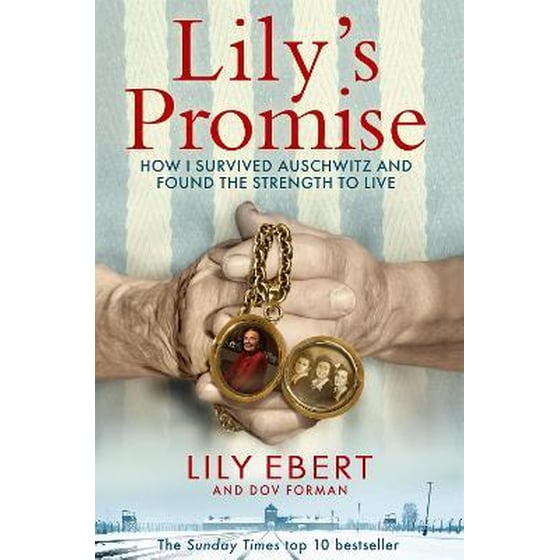 Lily's Promise image 0