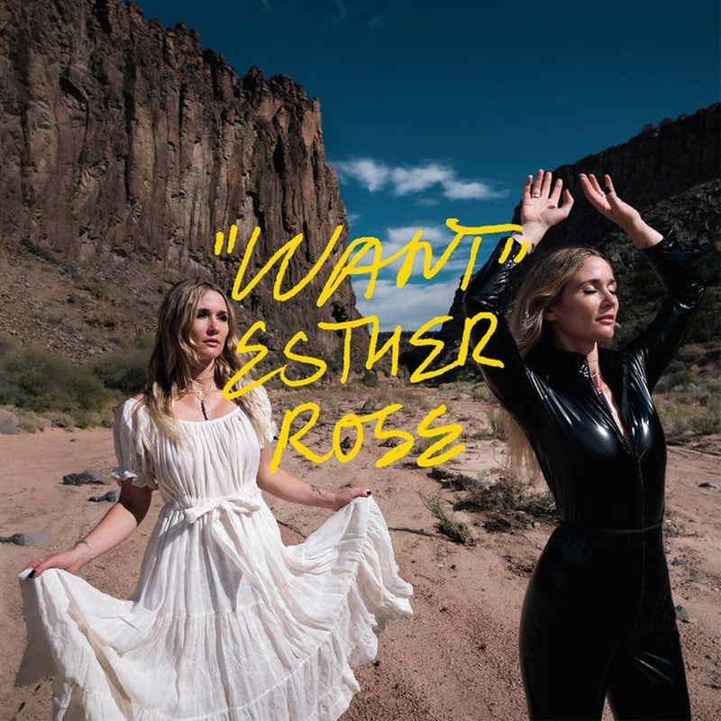 Want (LP)