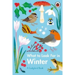 What to Look For in Winter