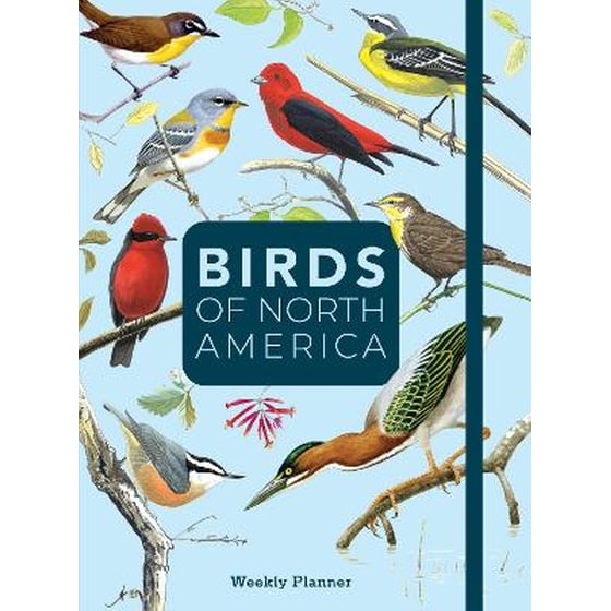 Birds of North America image 0