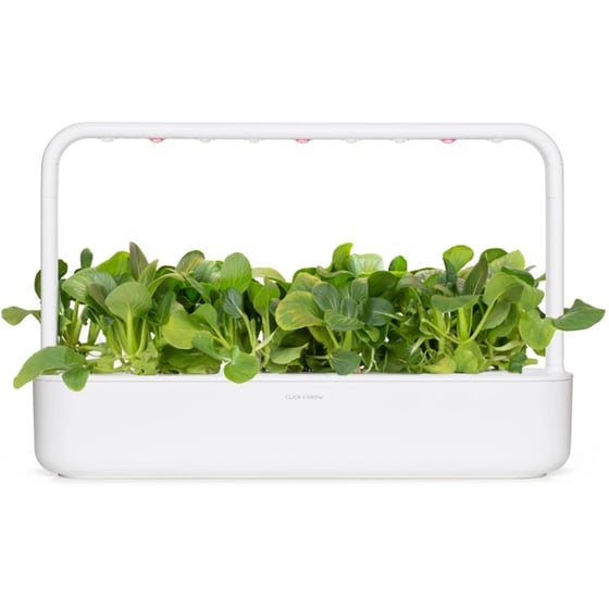 Κάψουλες Click and Grow 3 Τμχ - Κινέζικο Λάχανο image 3