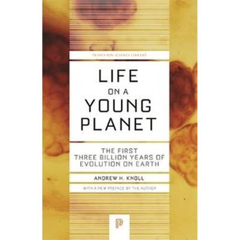 Life on a Young Planet