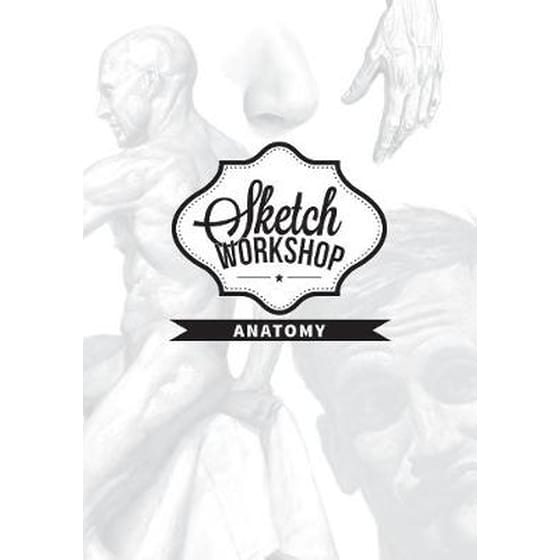 Sketch Workshop: Anatomy image 0