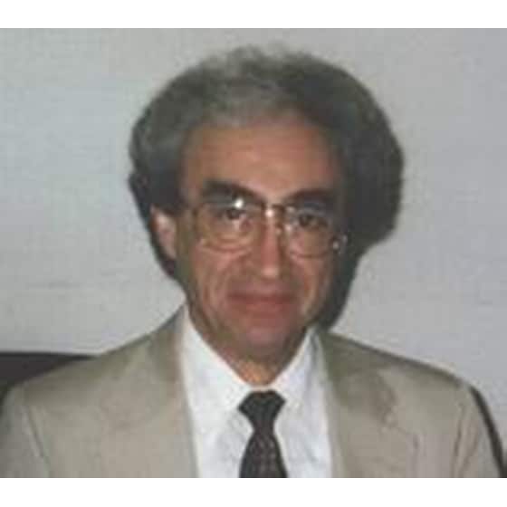 Επαναστατημένο Ισλάμ image 1