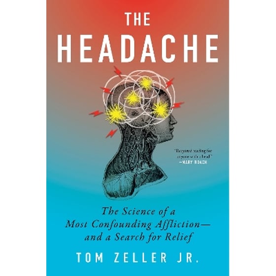 The Headache image 0
