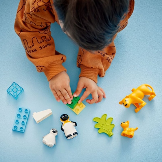 LEGO® Duplo Wild Animal Families: Penguins & Lions (10442) image 9
