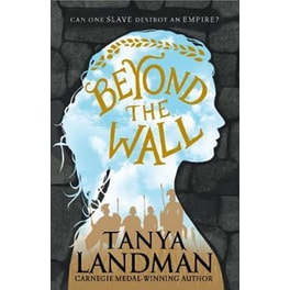 Beyond the Wall