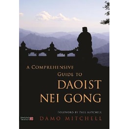Comprehensive Guide to Daoist Nei Gong