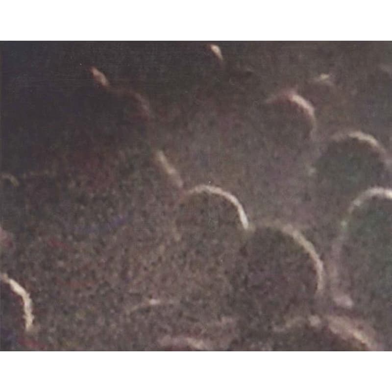 Live At La Giate Lyrique