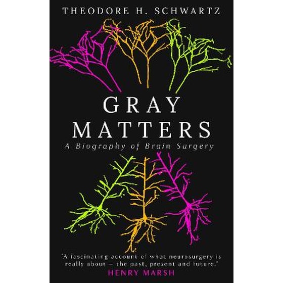 Gray Matters image 0
