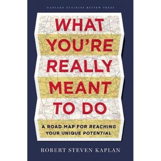 What You're Really Meant to Do image 0