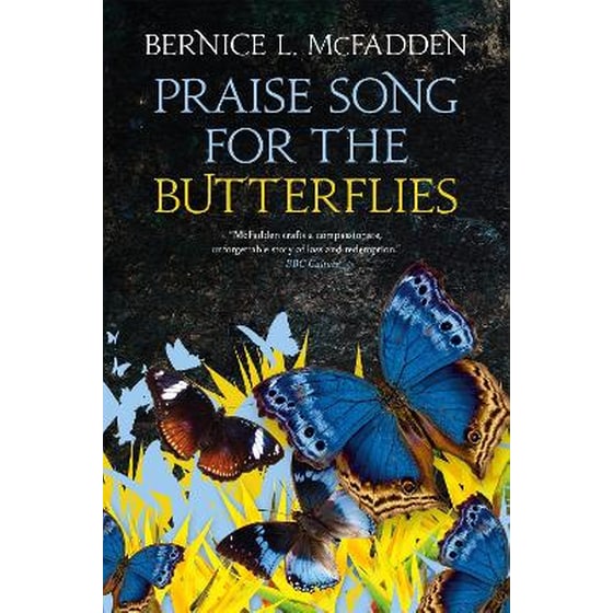 Praise Song For The Butterflies image 0