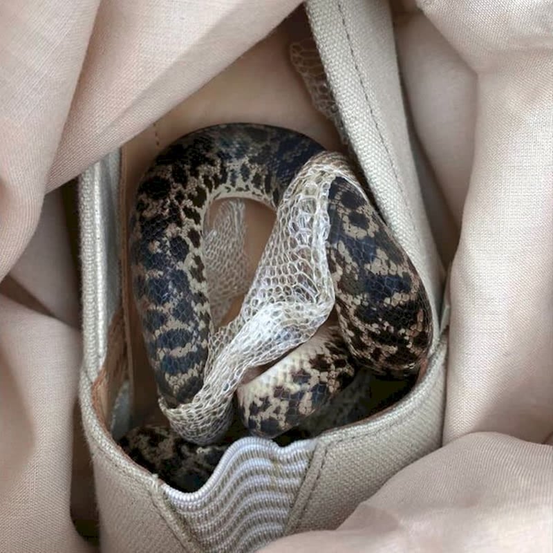 Paris Paris, Texas Texas (LP)