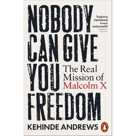 Nobody Can Give You Freedom image 0