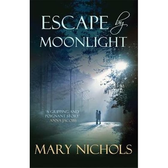 Escape by Moonlight image 0