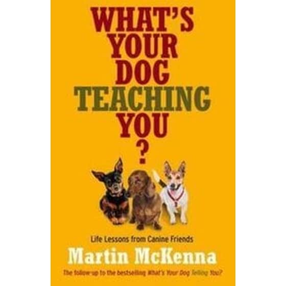 What's Your Dog Teaching You? image 0