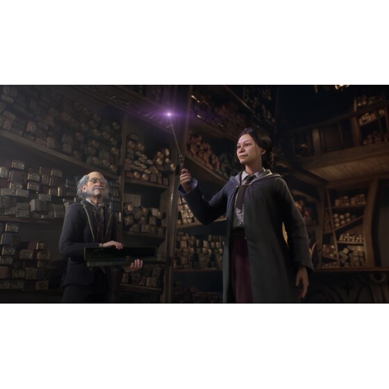 Hogwarts Legacy Deluxe Edition - PS4 image 3