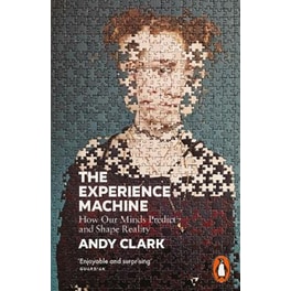 The Experience Machine