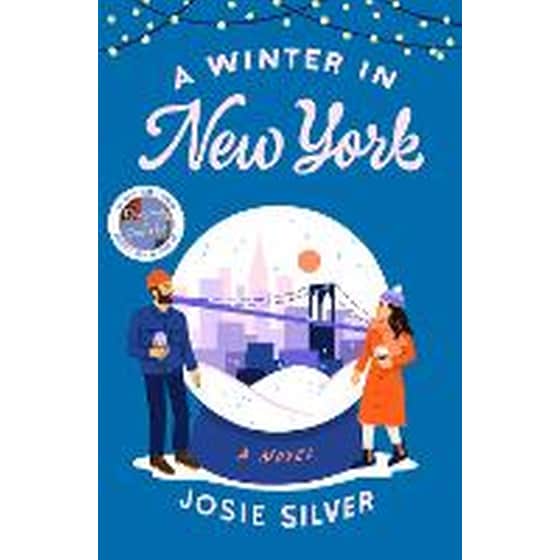 A Winter in New York image 0