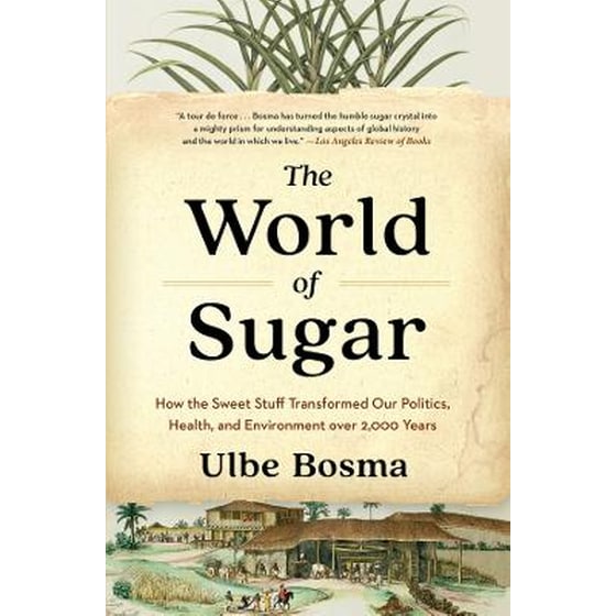 The World of Sugar image 0