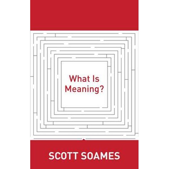 What Is Meaning? image 0