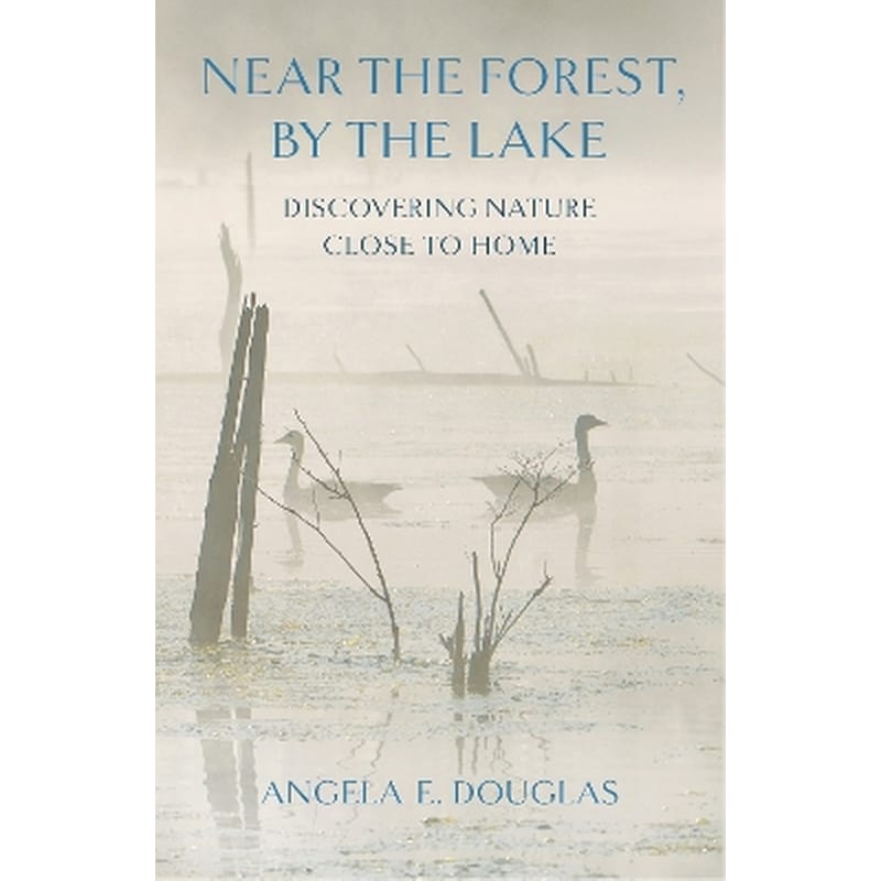 Near the Forest, by the Lake