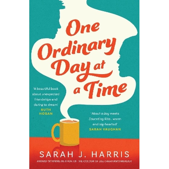 One Ordinary Day at a Time image 0