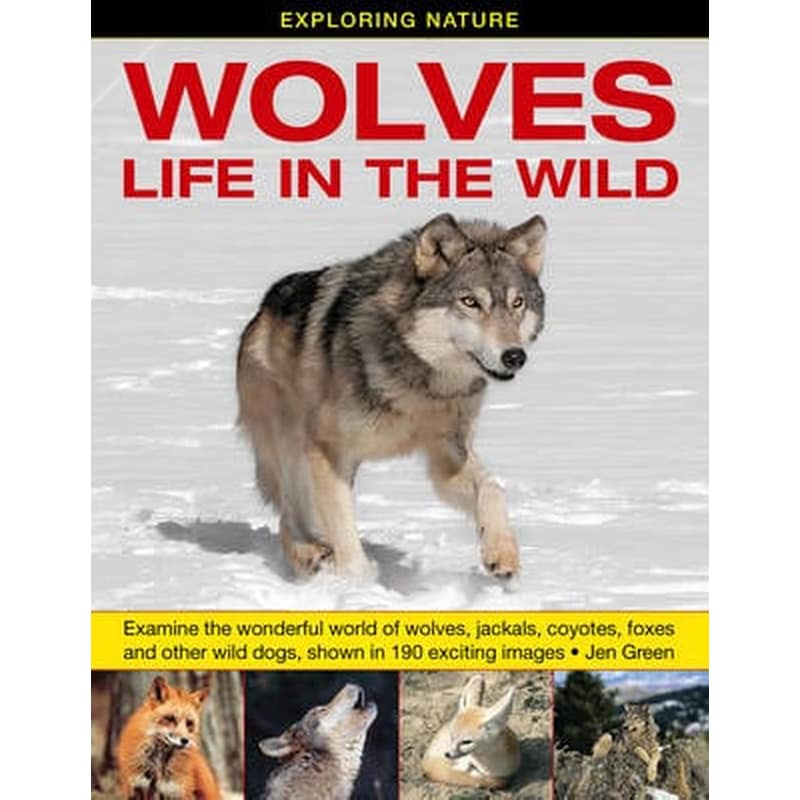 Exploring Nature- Wolves - Life in the Wild