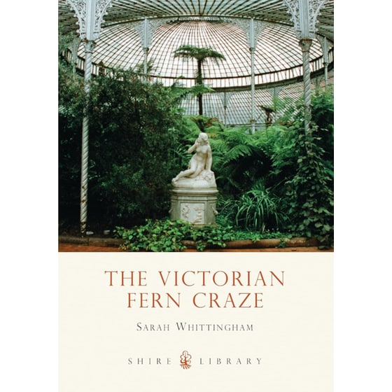 The Victorian Fern Craze image 0